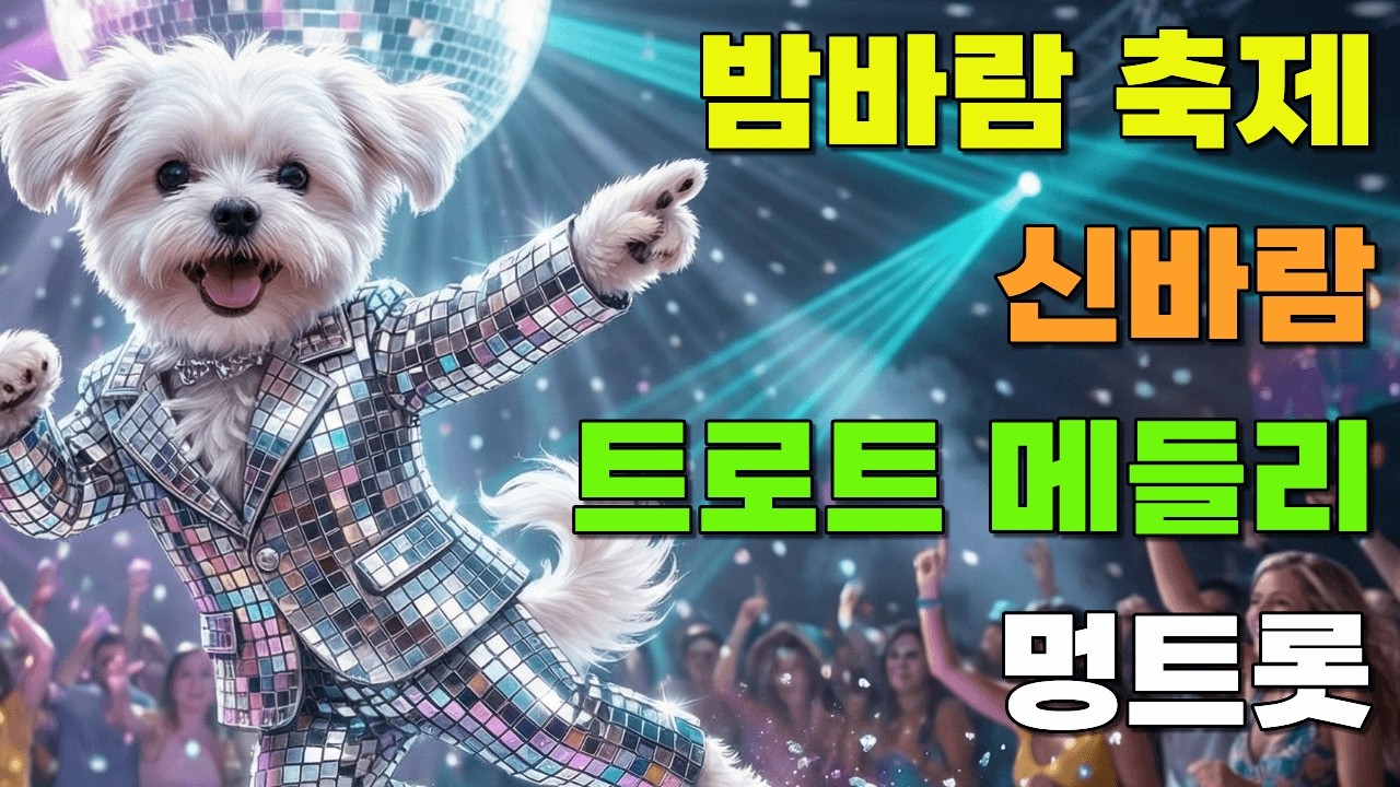 [플레이리스트] 🌙야시장 밤바람 축제 흥트로트 🎤불빛 아래 떼창 신바람 메들리 연속듣기 | 멍트롯