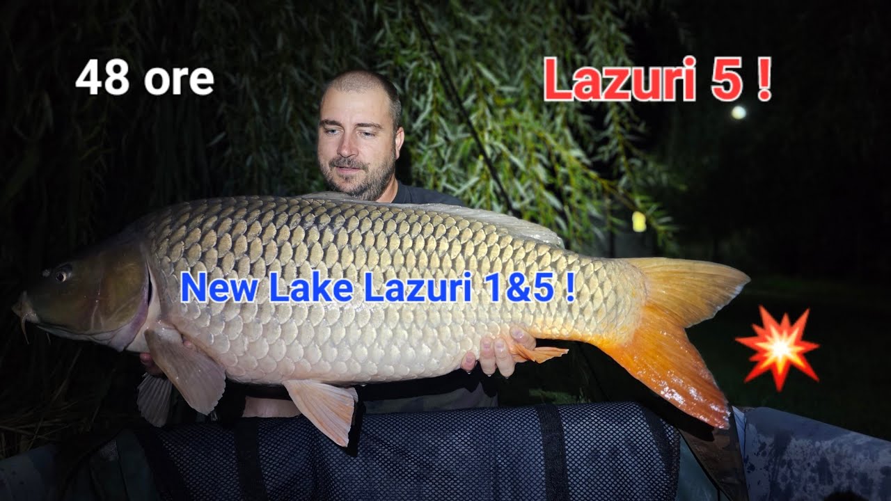 New Lakes Lazuri 1&5 - pescuit la CRAP - #NLL5 #lazuri #lakes #5 #wlc #carp #fishing #bigcarp