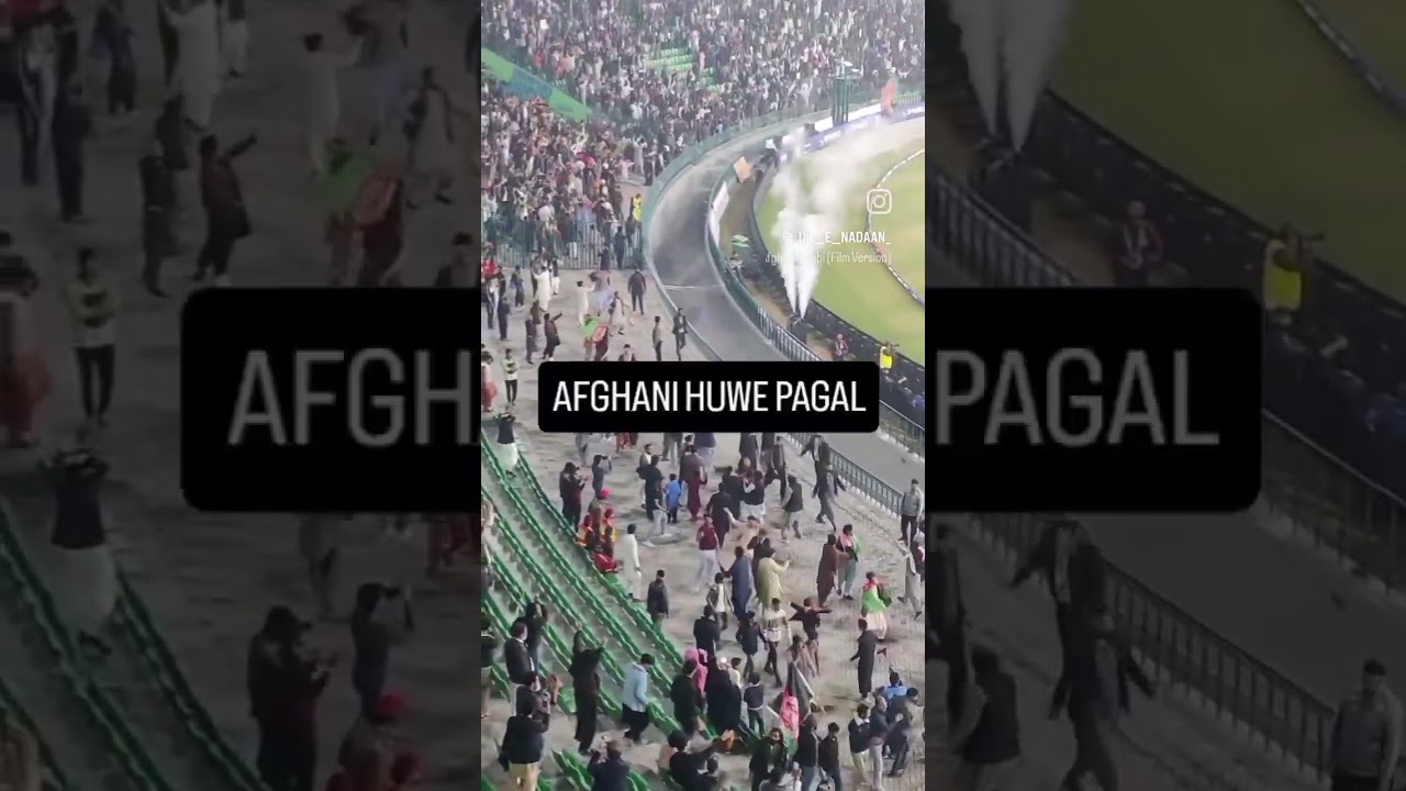 AFGHANI HUGYE PAGAL. || #afghanistan #trendingnow #shortsfeed #shortsviral #championstrophy #reel