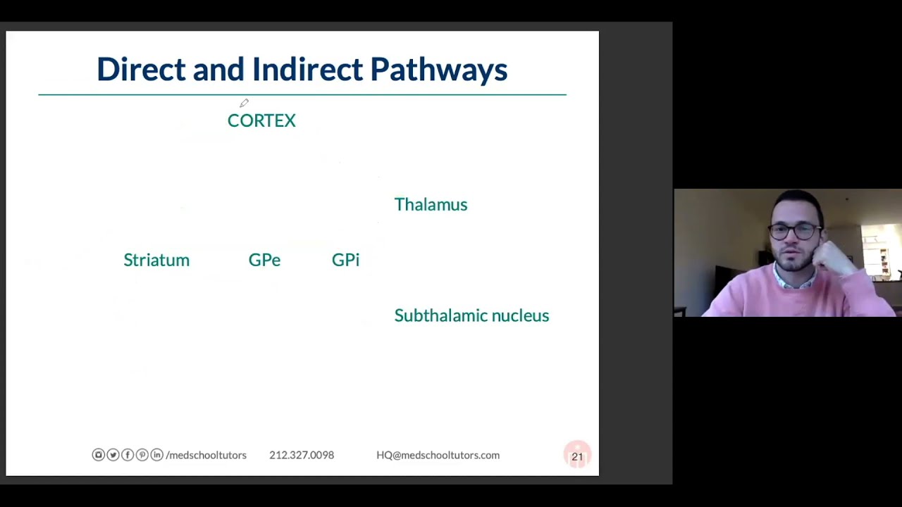 Direct & Indirect Pathways of the Basal Ganglia: High Yield Neuro Pathology for the USMLE & COMLEX