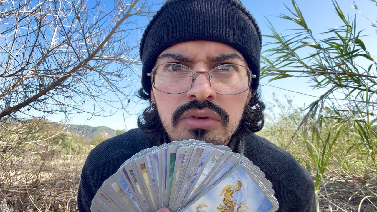 How they REALLY FEEL right now!! Pick a Card Timeless Tarot Reading
