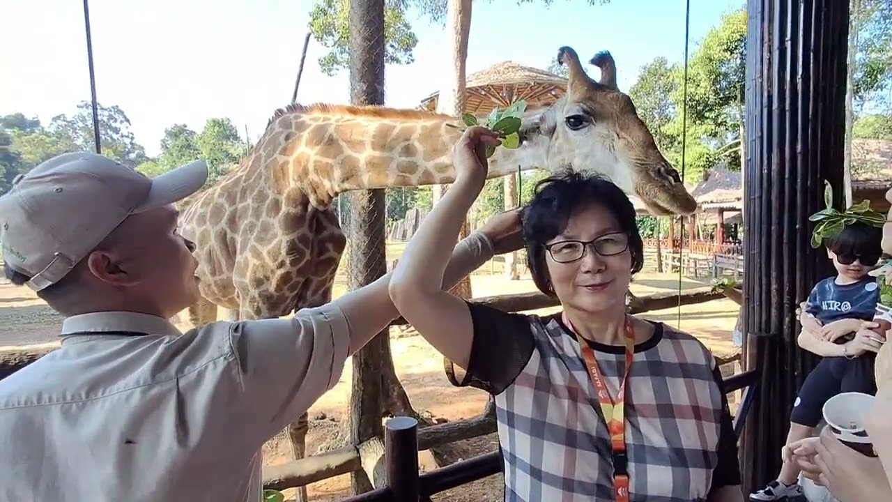 푸꾸옥 여행 5-7일차(2026.1월)/빈펄사파리/그랜드월드/소나가리조트/소나시야시장