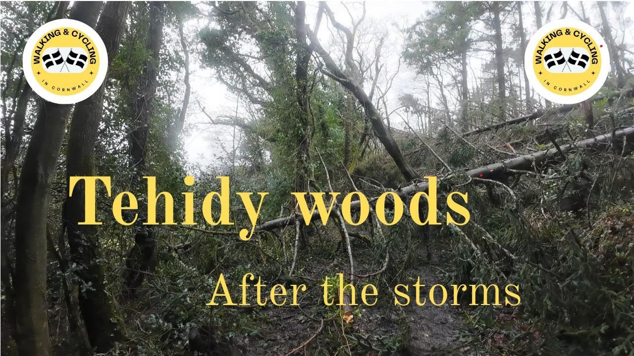 Cube E-bike ride through Tehidy woods after the storms.