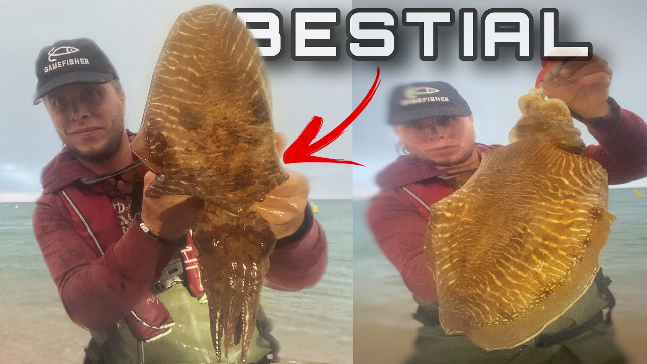 ROMPO mi RECORD de SEPIA a EGING [SEPIA GIGANTE]