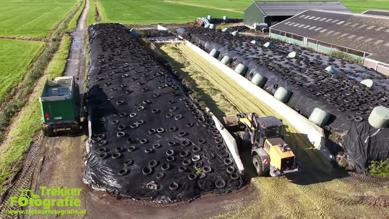 Maatschap Hoekstra | Mais Hakselen 25 | Krone | Mc Cormick + Kroger | Chopping Maize | Mais H&auml;ckseln