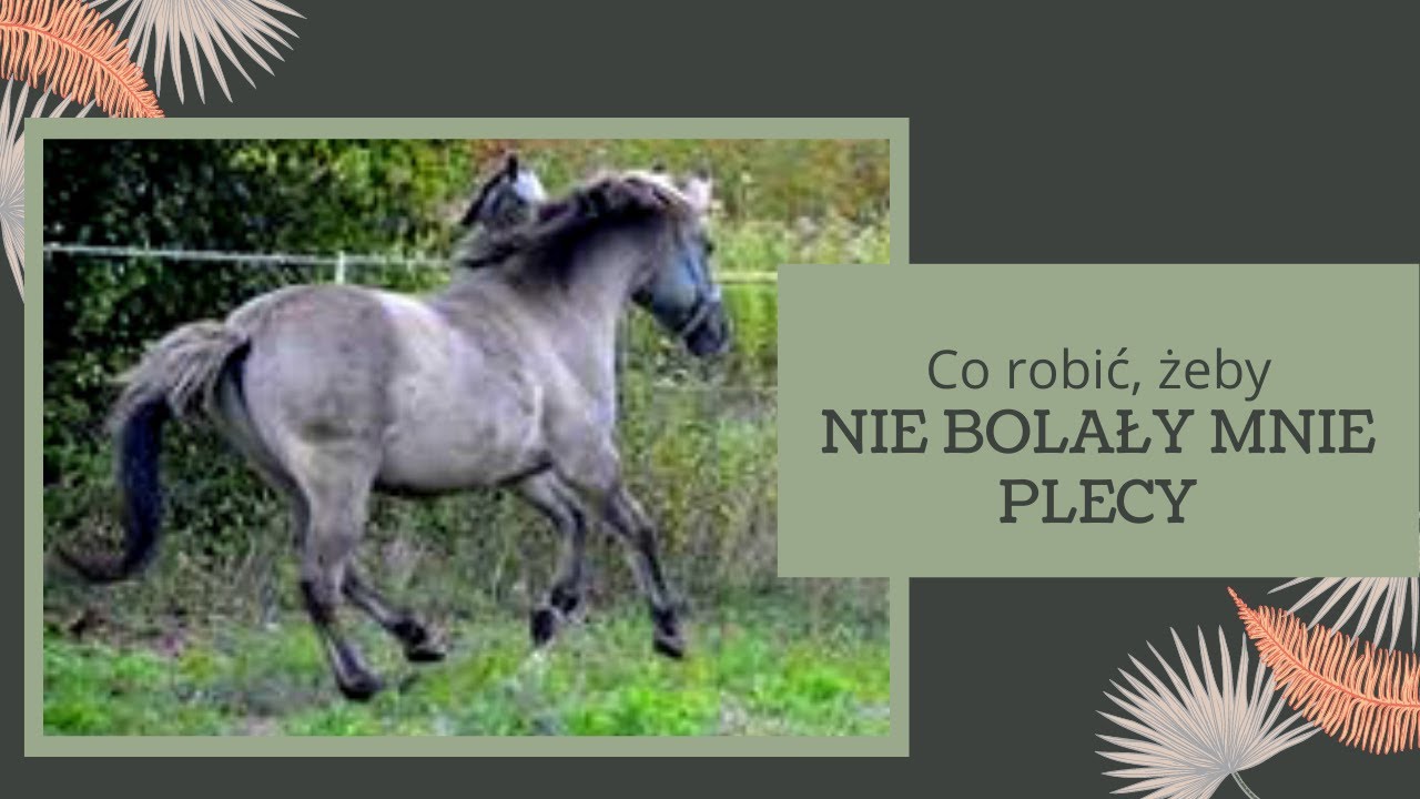 Ból pleców po jeździe konnej. Co robić, żeby plecy nie bolały?