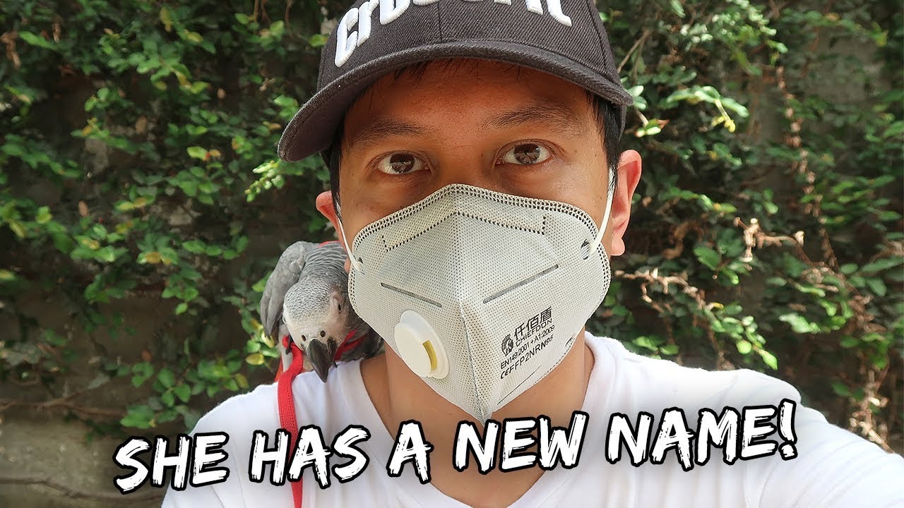 Giving My Bird A New Name | Vlog #883