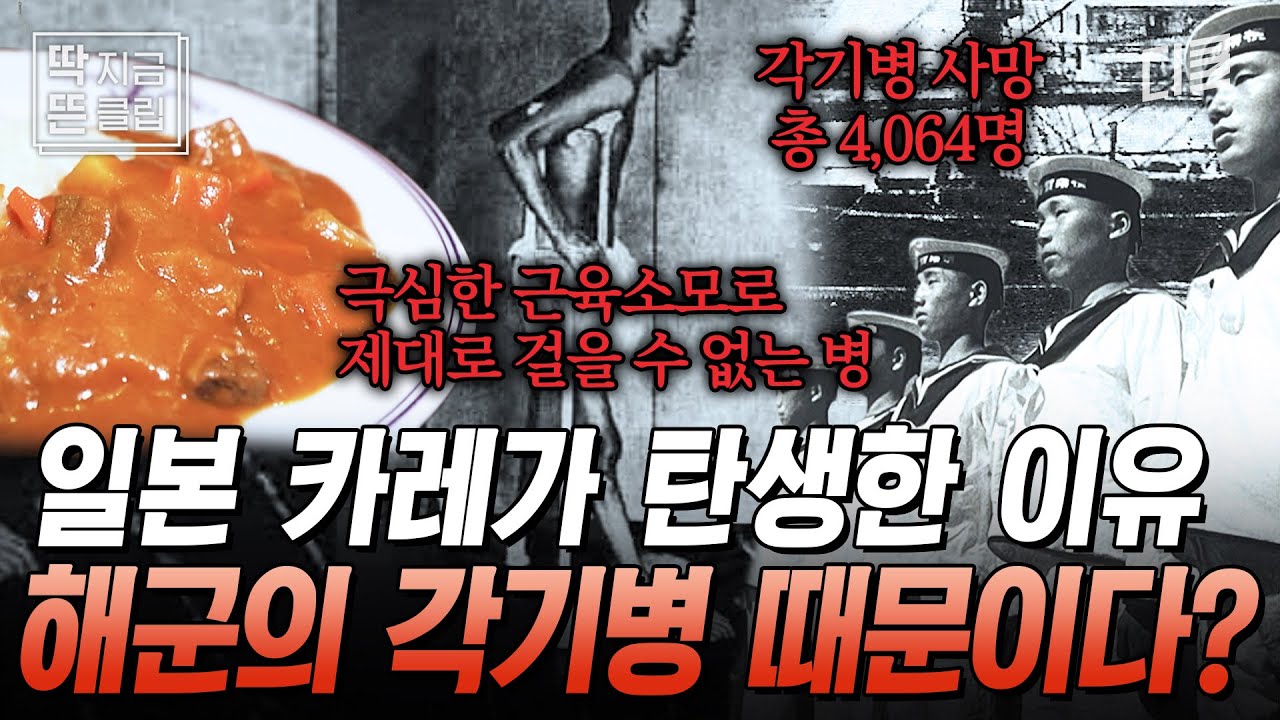 [#벌거벗은세계사] 1930년대 일본에서 초절정 인기를 누리던 카레🍛 당시 일본군에서 유행한 각기병 때문에 일본 카레가 탄생했다고?
