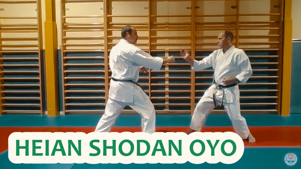 HEIAN SHODAN OYO - KATA DEBOUT / DESAXE / GO-OMOTE 👊🏻 Extrait de Karate Online Training #29
