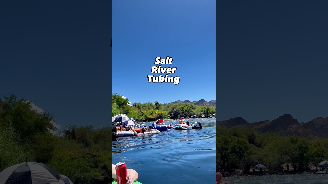 Salt River Tubing in Mesa, Arizona #shorts #summervibes #river #arizona