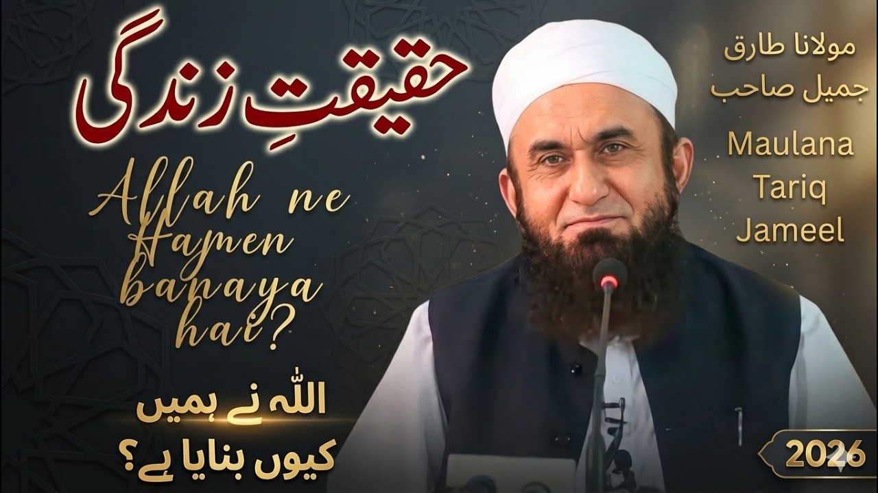 Does Allah Almighty really send down punishment immediately when sins increase on earth?
