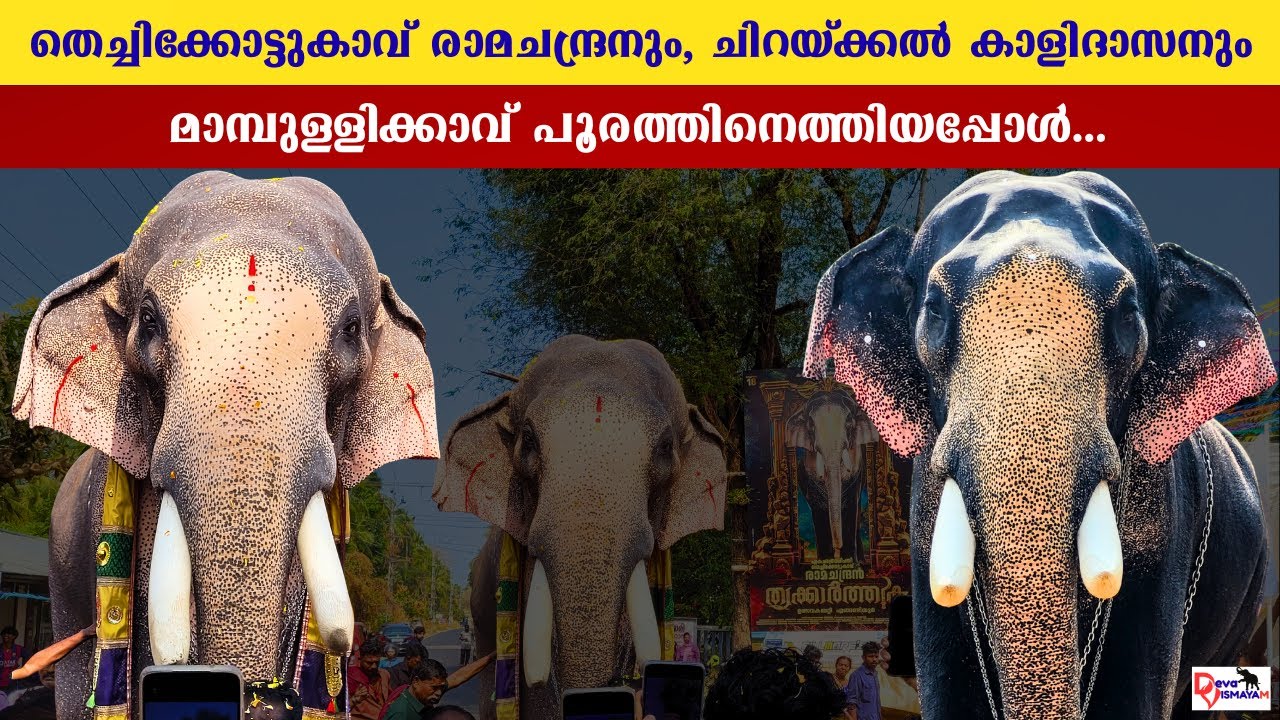 Thechikottukavu ramachandran | chirakkal kalidasan | at mambullikavu pooram.