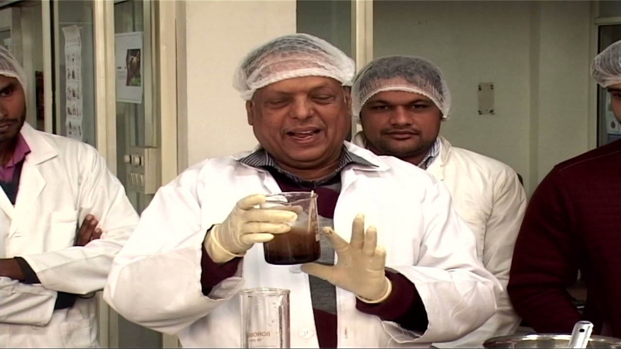 Ice Cream Practical- Diploma in Dairy Technology