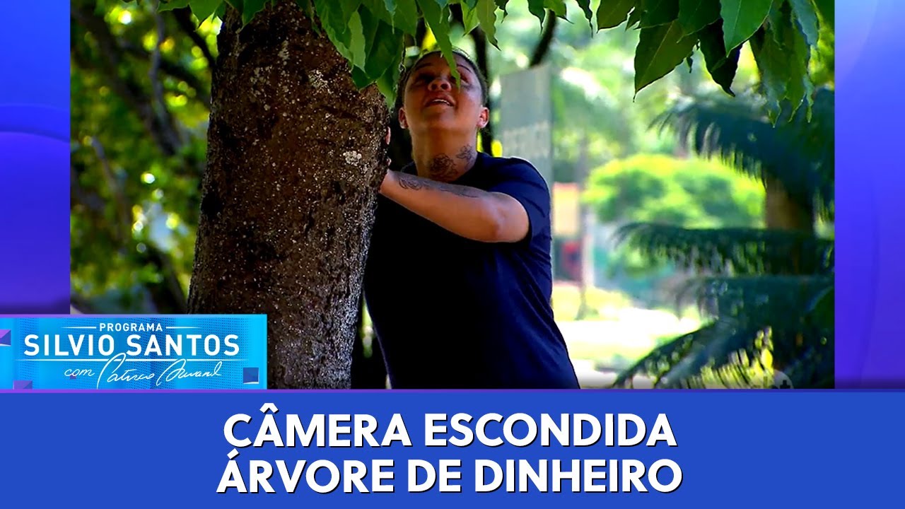 Árvore de Dinheiro | Câmeras Escondidas (19/11/23)