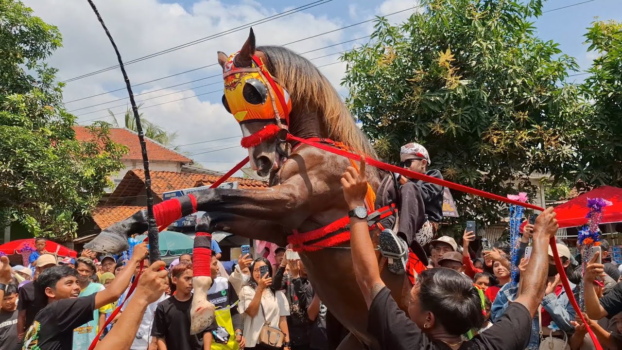 21 Kuda Jingkrak Terbaik Ada Disini ‼️ Arak Arakan Kuda Desa Kaligesing Kec. Kutoarjo 5 Oktober 2025