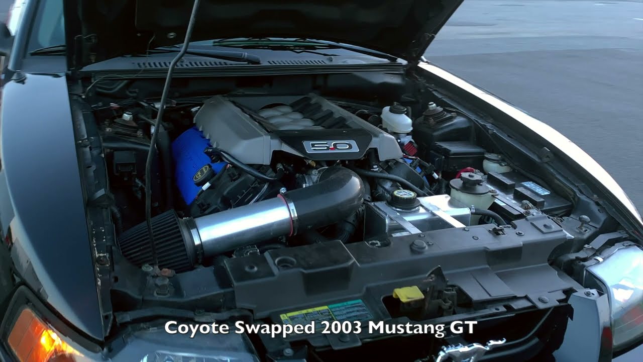Coyote Swap New Edge 1/4 mile