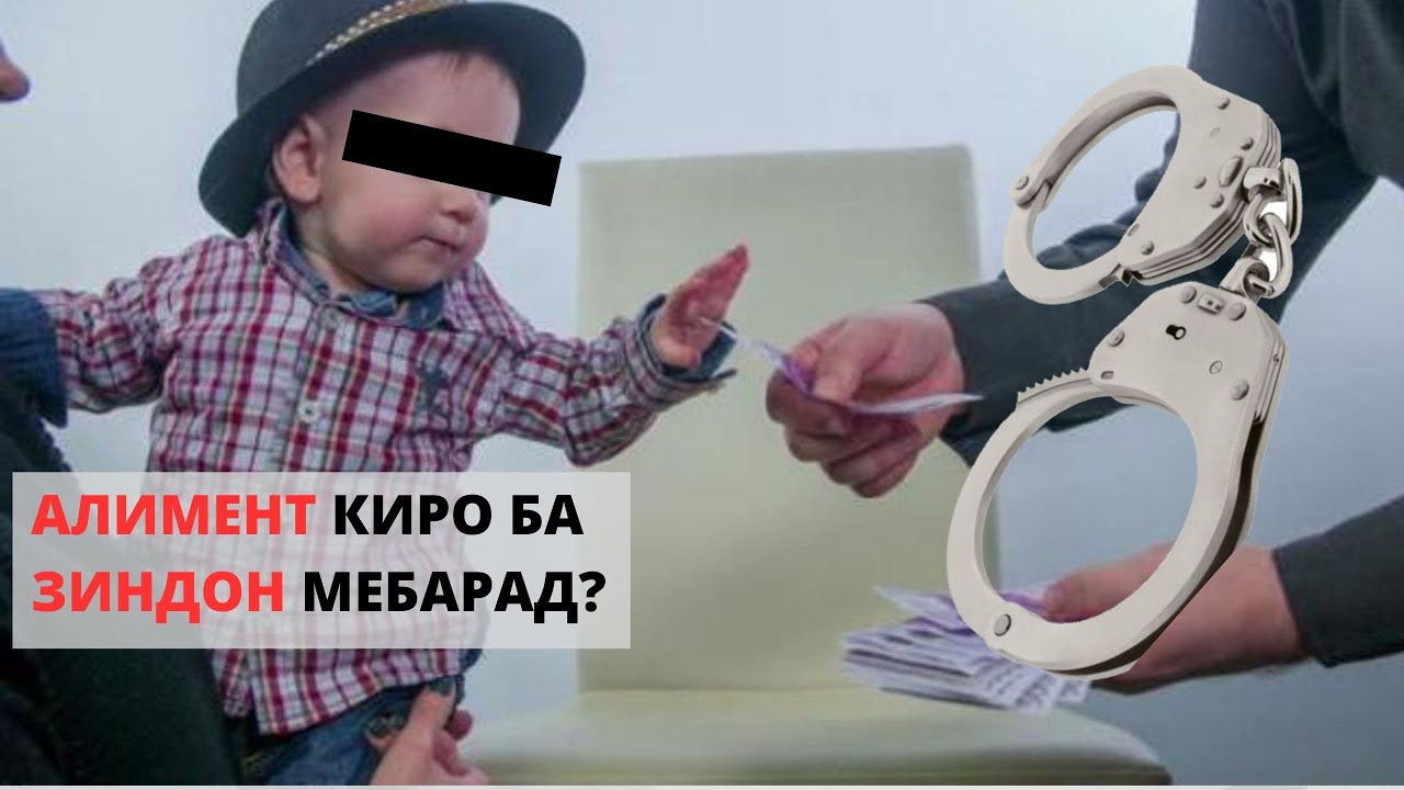 Дар бораи алимент ба ҳама саволи худ посух пайдо кунед!