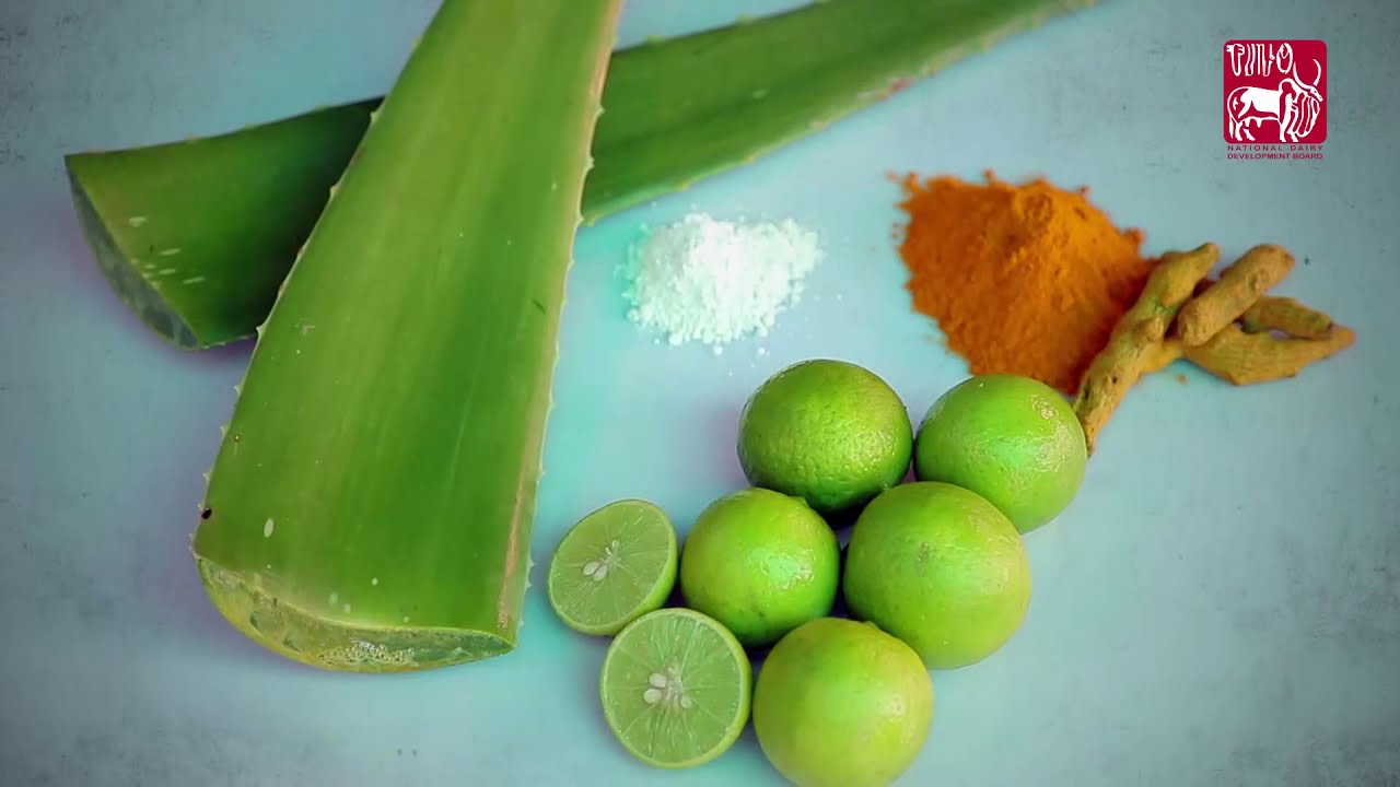 Ethno-veterinary formulation (water-based) for Mastitis (Telugu)