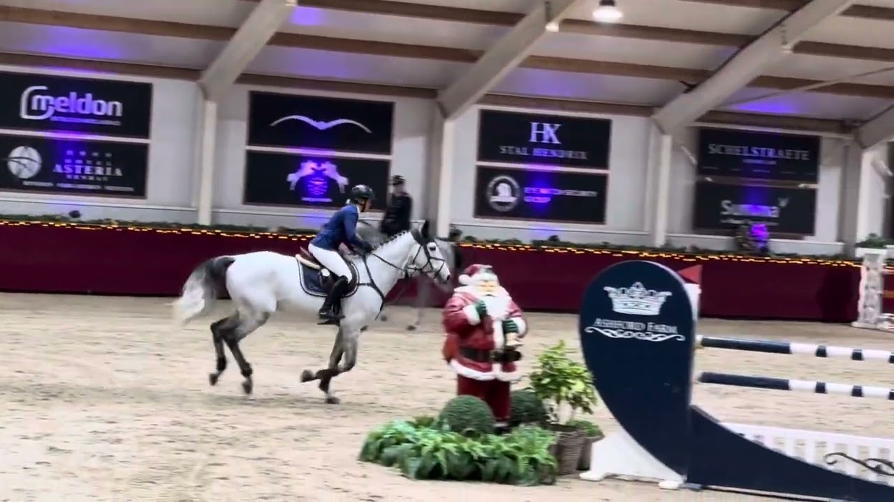 King Kashmir TN by Kashmir vh schuttershof x Mylord Carthago @ 1m30 CSI Kronenberg