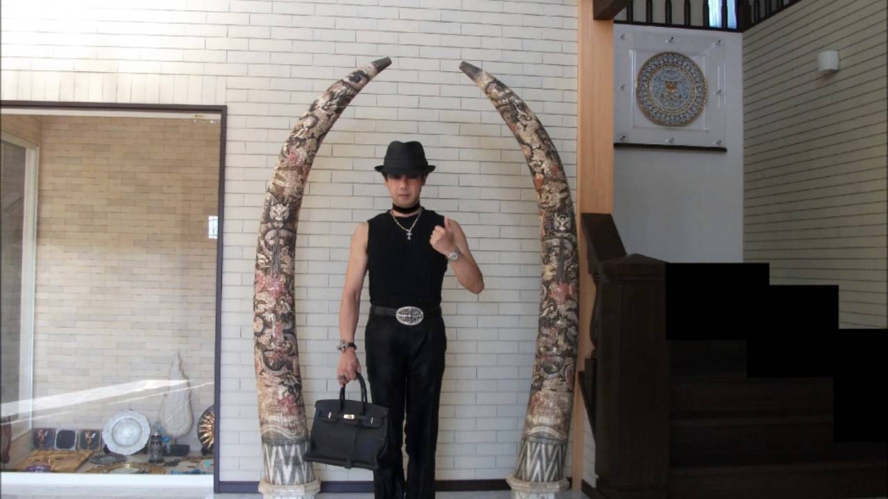 NO, 346 歯聖純が歌うhide with Spread Beaver ｛ピンク スパイダー｝