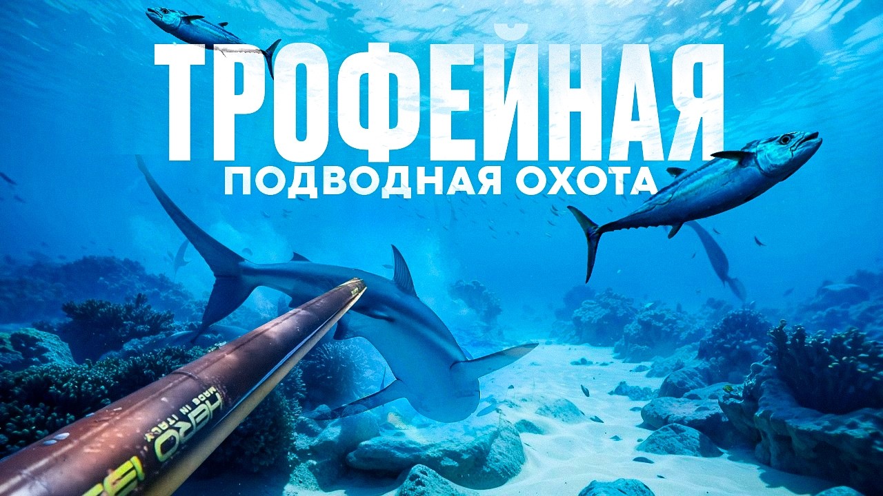 НЕРЕАЛЬНАЯ подводная охота в индийском океане! Подводная охота на тунца