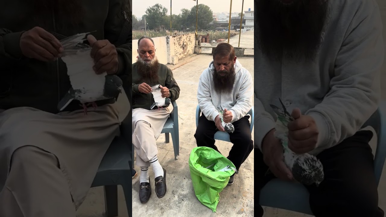 استاد ادریس کنڈے والا چھت عرفان میو نتھا سنگھ