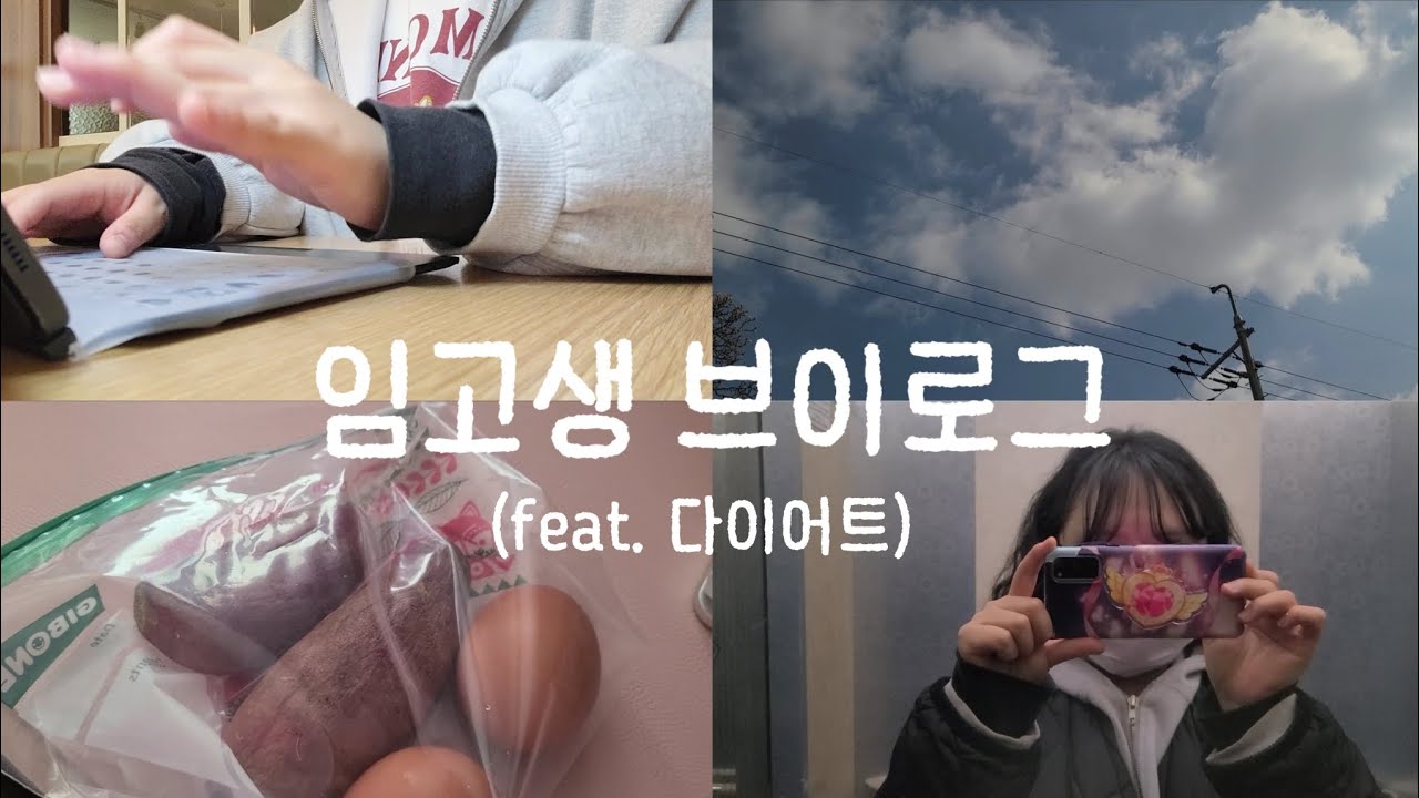 임고생 브이로그★☆★(D-287)/근데 이제 다이어트를 곁들인