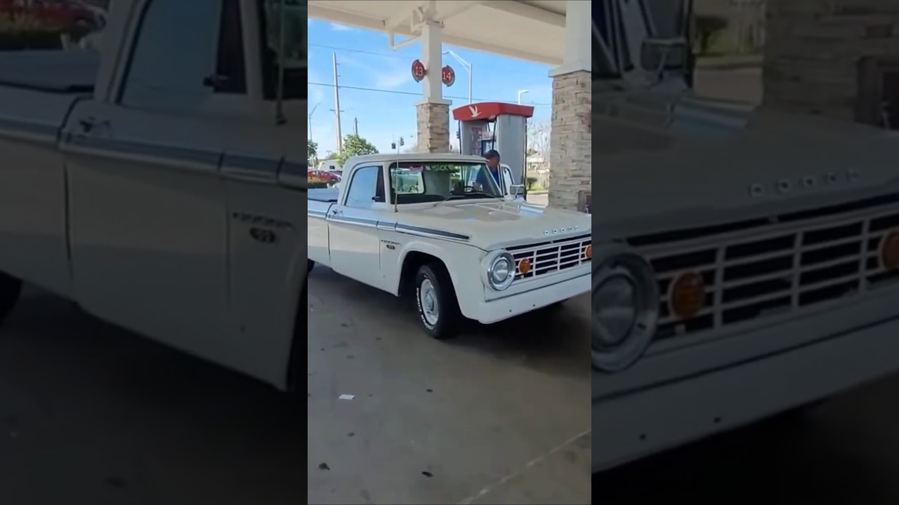 DODGE SWEPTLINE DAILY!