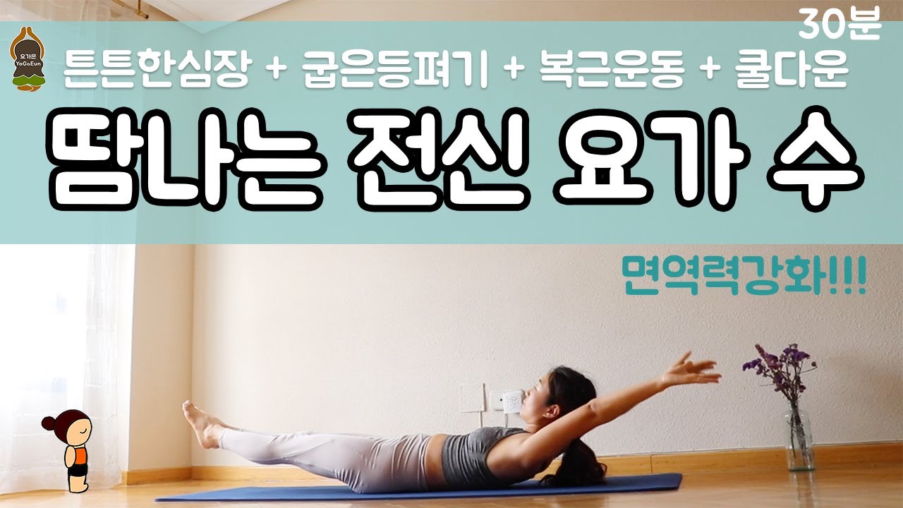 (요가은) 땀나는 전신요가 수요일 / 면역력강화, 튼튼한심장, 굽은등펴기, 복근운동, 쿨다운스트레칭