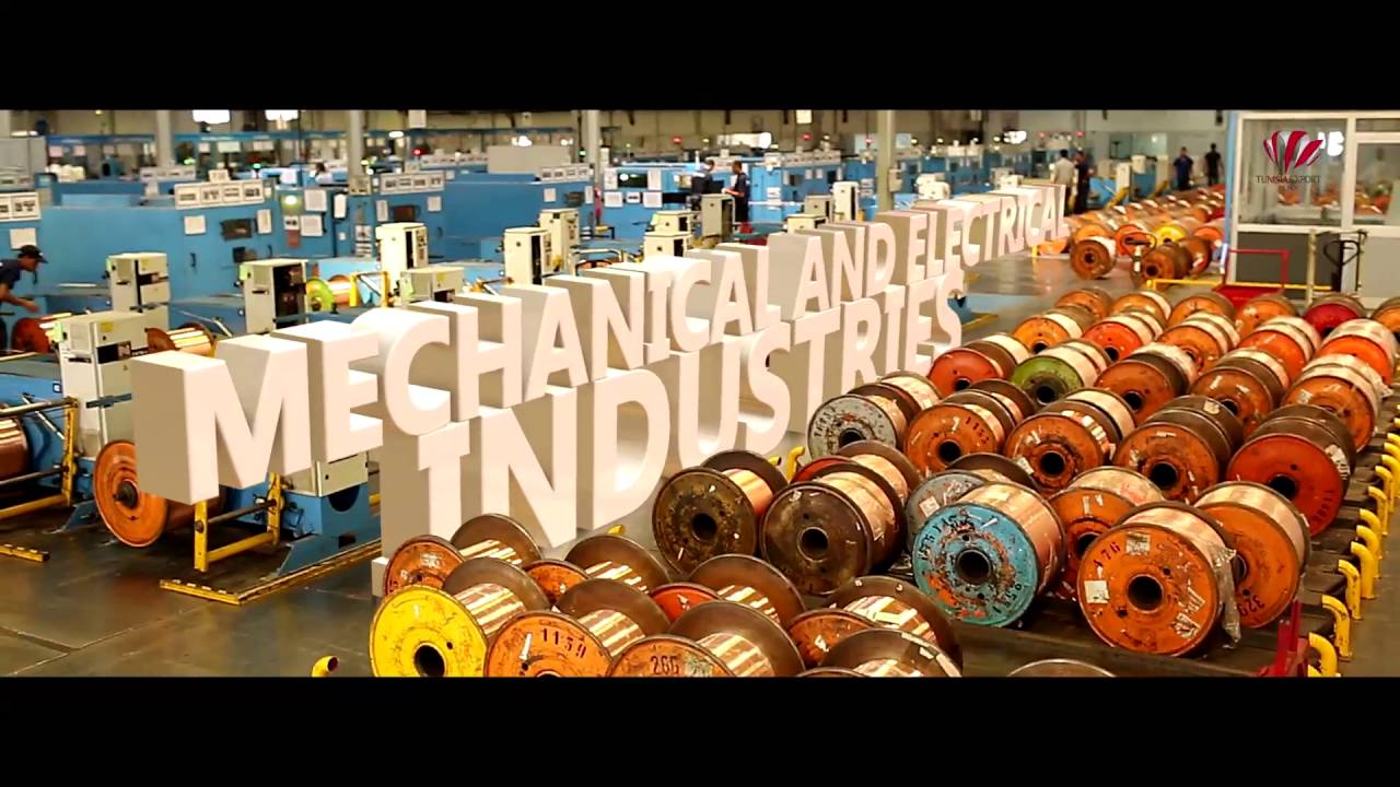 Tunisia Business is made Here ... (English Version)