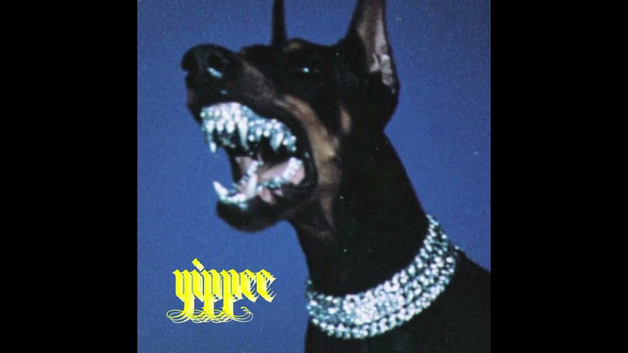 [FREE] Veeze Type Beat - Live