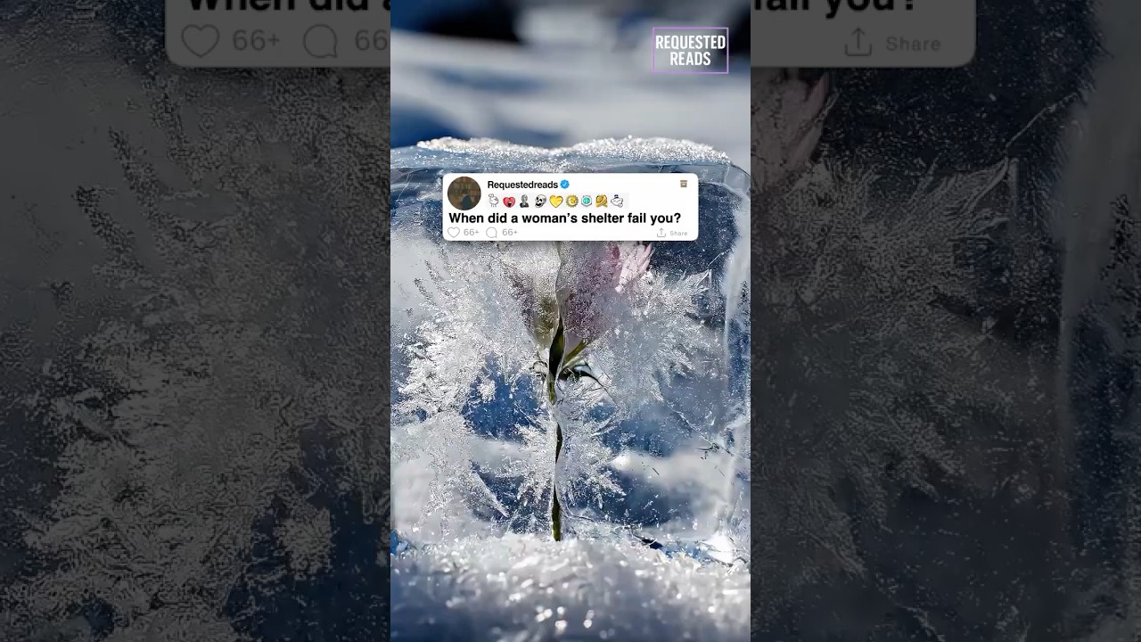 Когда вас подвело женское убежище?