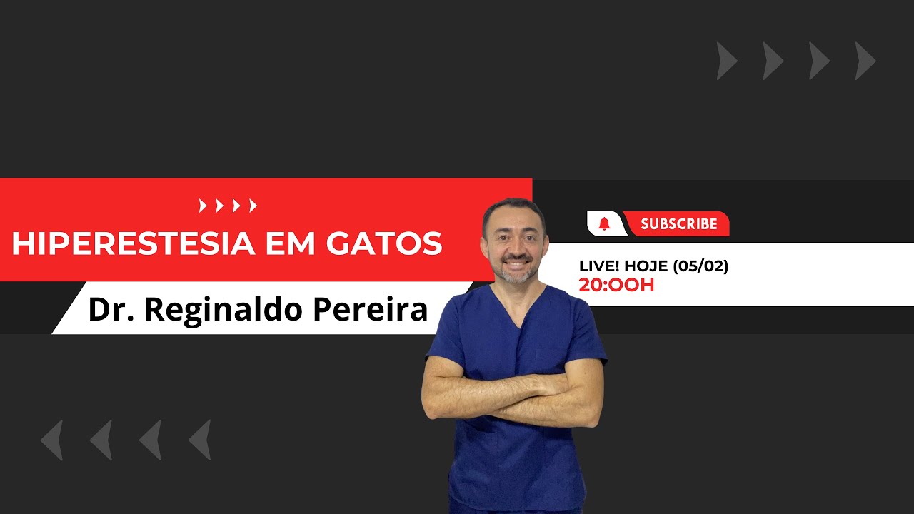LIVE- Hiperestesia Felina