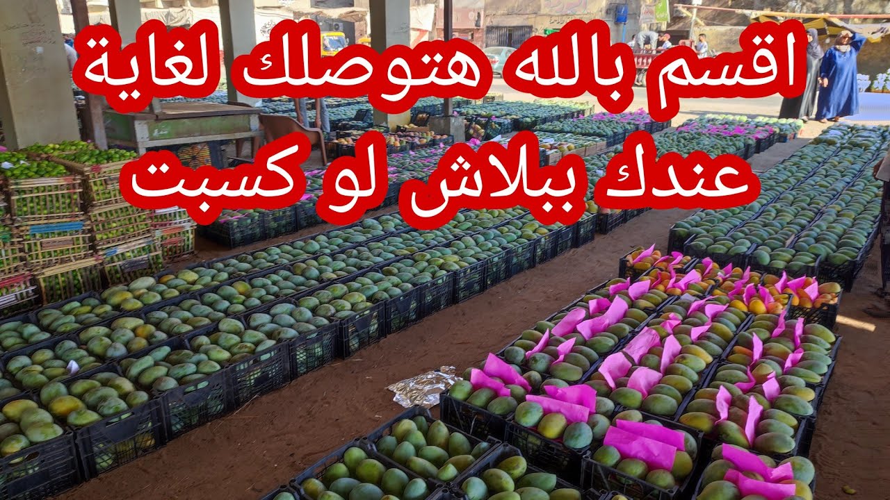 اقسم بالله المانجا هتوصلك لغاية عندك بدون اي مقدم 
