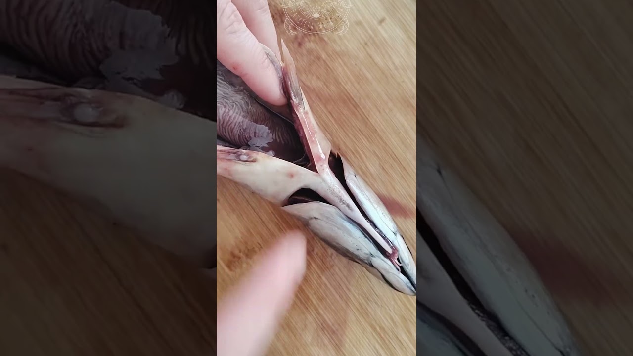 I think I've found the easiest way to clean mackerel!!!! #asmr #asmrcooking