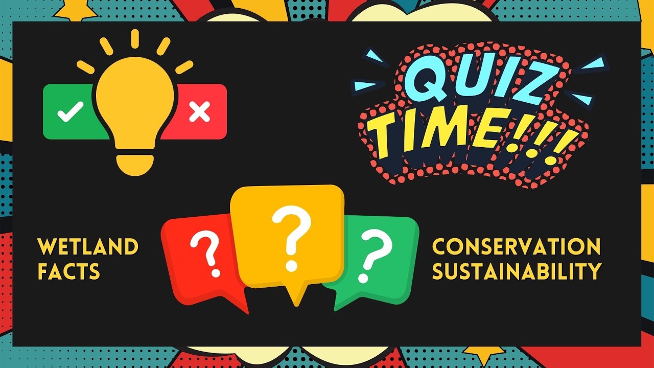 How Well Do You Really Know Wetlands? Take the Quiz!