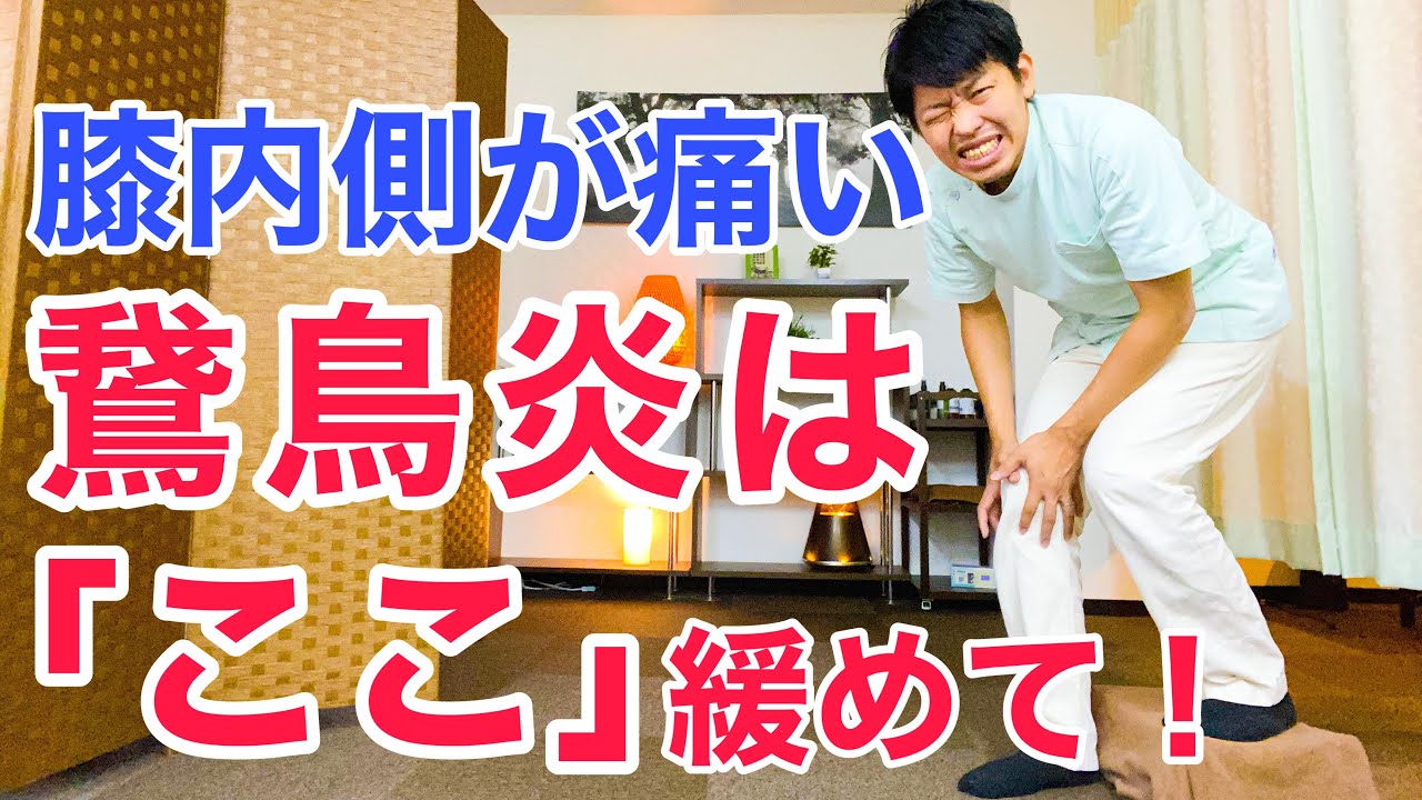 膝の内側の痛み(鵞足炎)が治らない本当の原因と自分で根本から改善する方法