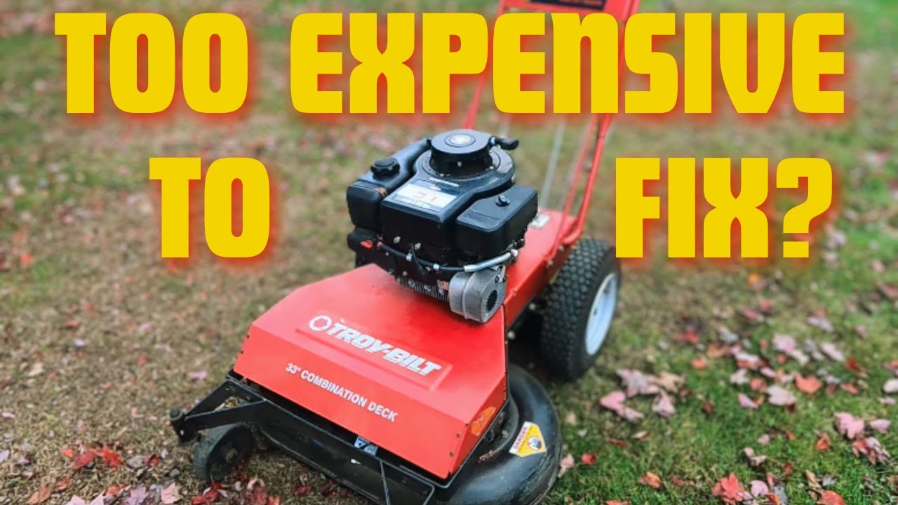 Оставлено на смерть: газонокосилка Troy-Bilt с ручным управлением