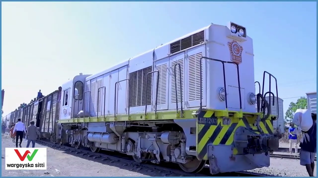 degmada  Hadhagaale. waxay caan ku tahay tareenka o ah agoon koriye ay noloshodu kutirsantahay