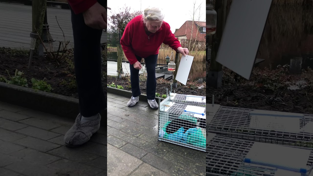 Sevenum: terug bij de vaste verzorgster