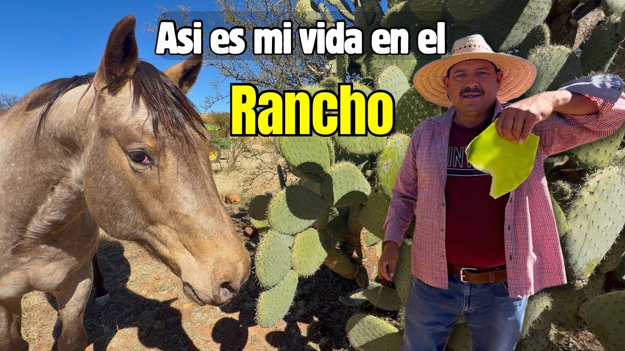 Mi vida diaria en el rancho | Campo, animales y trabajo