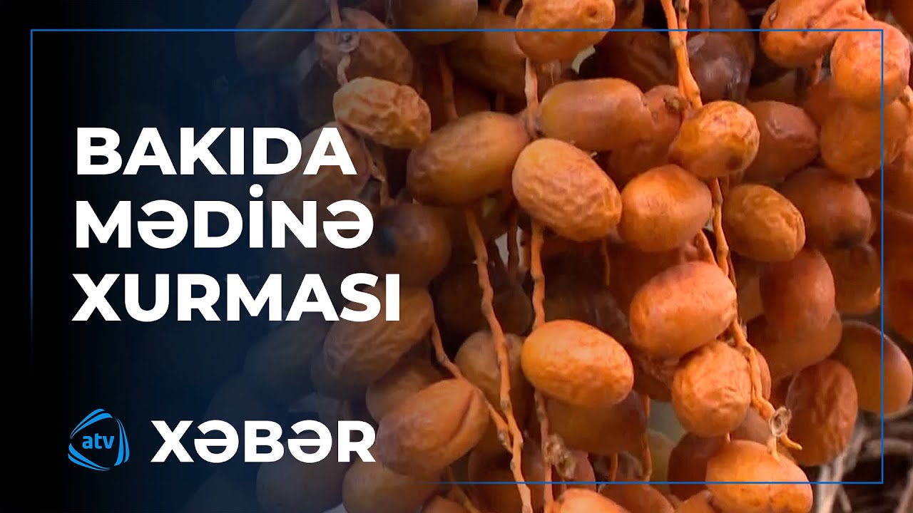 Bakıda Mədinə xurması yetişib