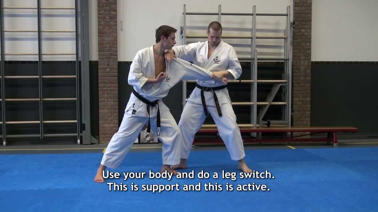 Wadokai Karate Seminar: What is meotode? 夫婦手