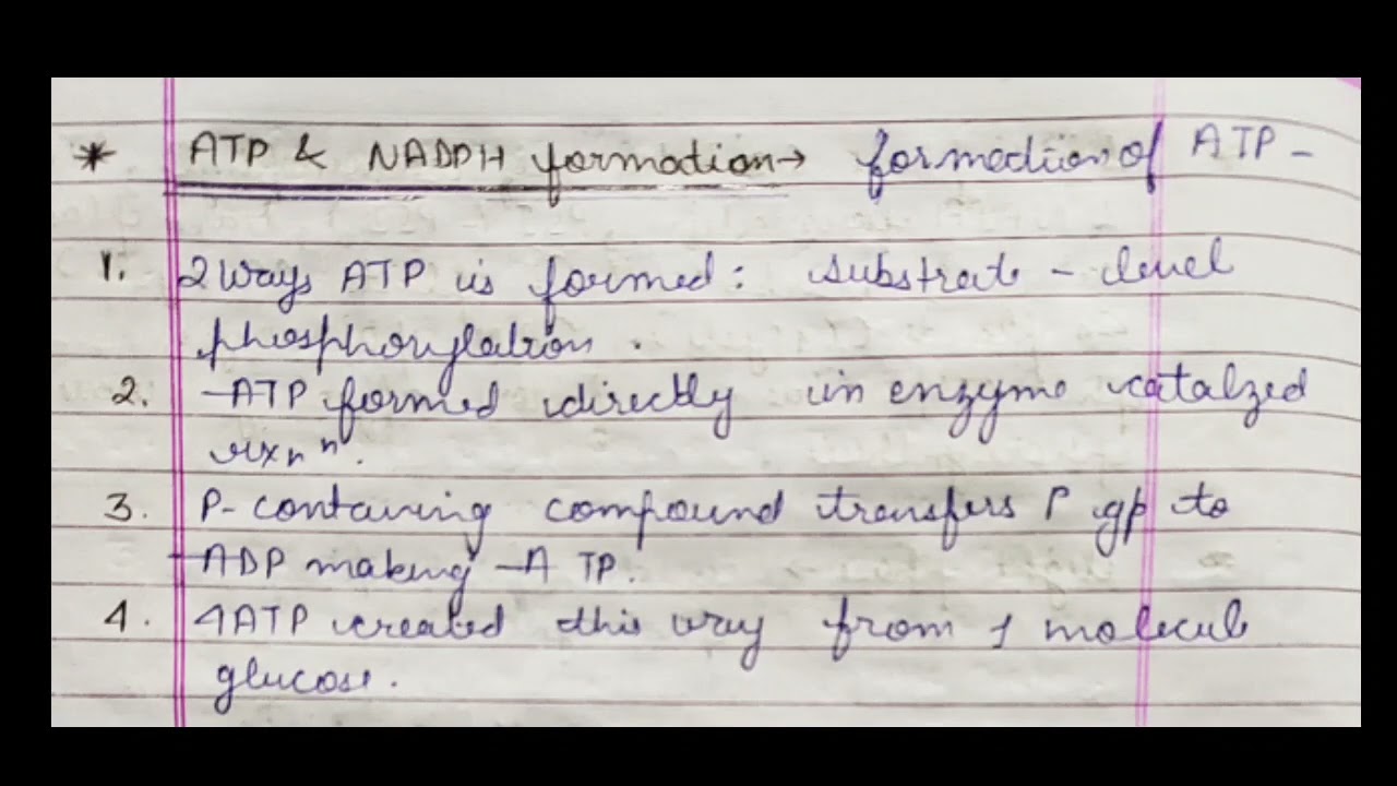 ATP & NADPH formation