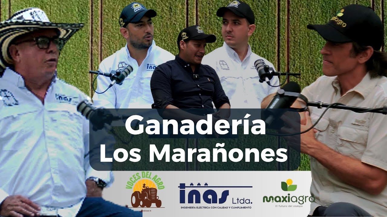 Historia y Evolución de la Ganadería Los Marañones.