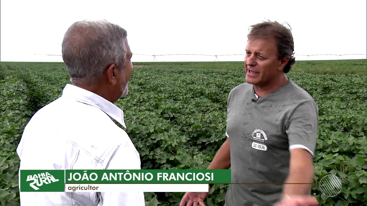 Agronegócio no Oeste baiano | Bahia Rural | TV Bahia 16/06/2019(2)