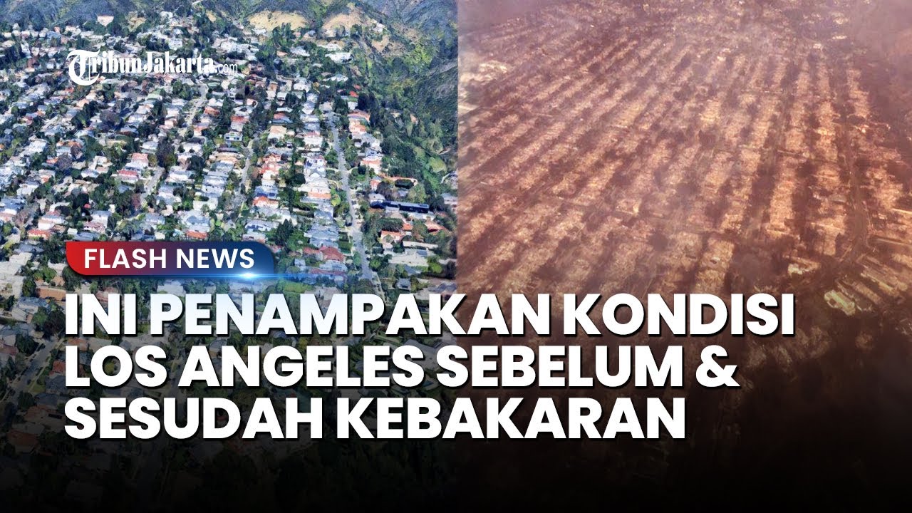 PENAMPAKAN Kondisi Los Angeles Sebelum dan Sesudah Kebakaran, Lebih dari 100 Ribu Orang Mengungsi