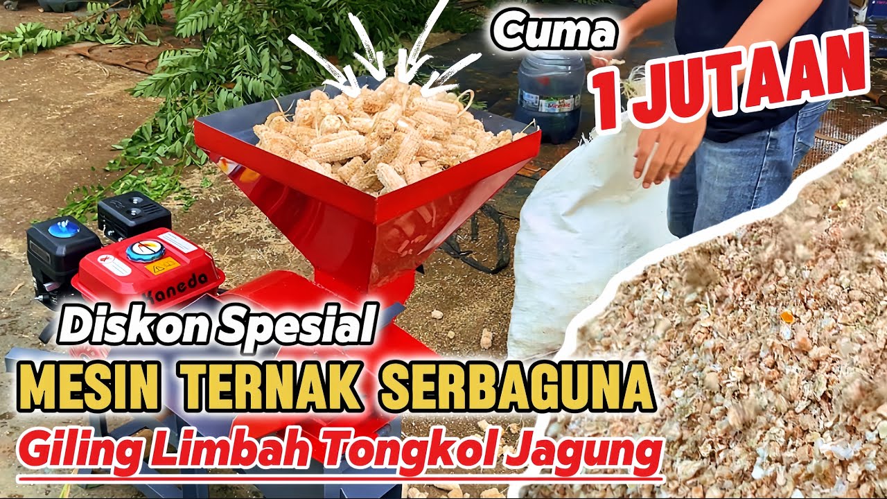 TONGKOL JAGUNG HALUSS‼️Diskon Mesin Ternak Serbaguna 1 JUTAAN TERMURAH
