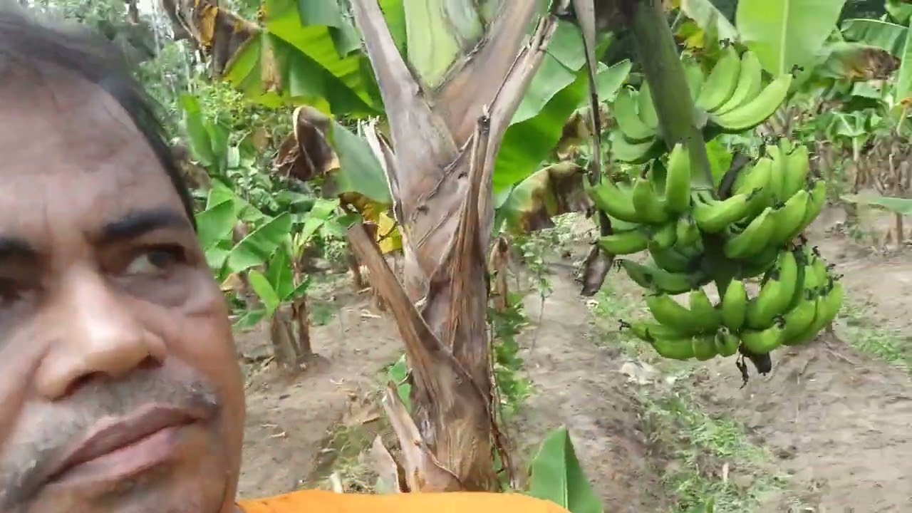 ইনছাফ বাগানবাড়ি,বাঁশখালী