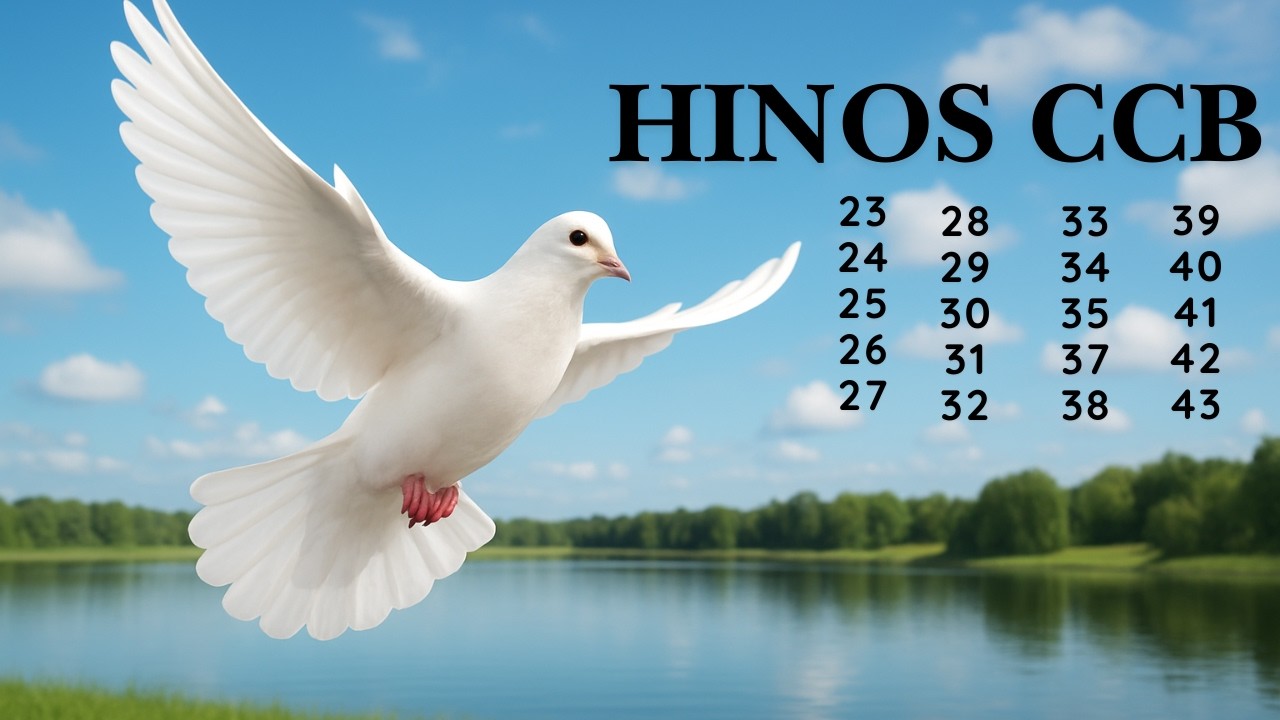 HINOS CCB - 69 | 23 24 25 26 27 28 29 30 31 32 33 34 35 37 38 39 40 41 42 43